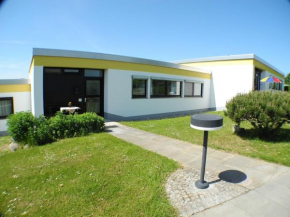 Uferschwalbe - Hohwacht in Hohwacht